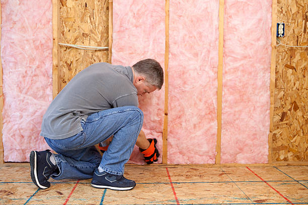 Best Basement Insulation  in Vivian, LA